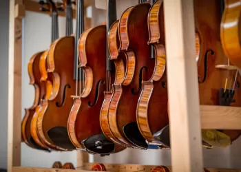 Keman Çeşitleri ve Özellikleri